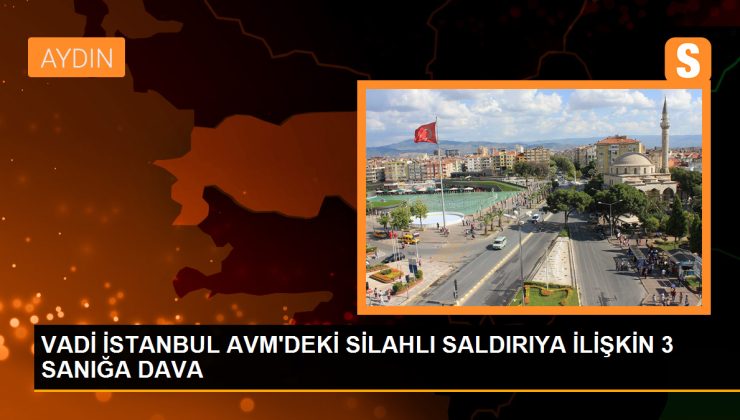 Vadi İstanbul AVM’deki silahlı kavgada 3 kişiye 12 yıl 6 aydan 36 yıl 3 aya kadar hapis istemiyle dava açıldı